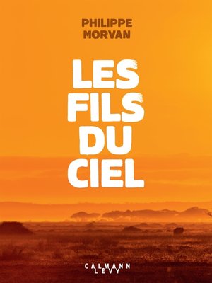 cover image of Les fils du ciel